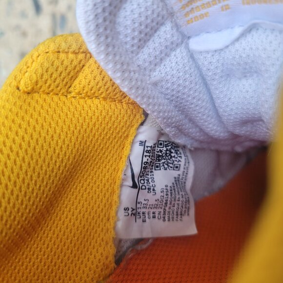 Nike Blazer Low 77 Fruity Graphics Y2 VINTAGE - Picture 6 of 6